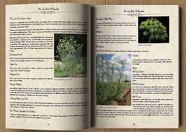The lost book of herbal remedies goes against the grain of mainstream medicine and avoids just treating symptoms. The Lost Book Of Herbal Remedies Best Herbal Medicine Guide And Recipe Don T Settle With Honda
