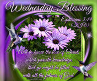 She would confront and fiercely defend the image of how people looked at her and family. Religious Wednesday Quotes Pictures Photos Images And Pics For Facebook Tumblr Pinterest And Twitter