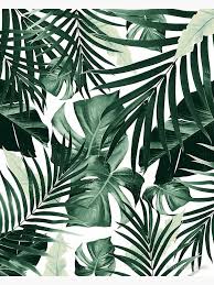 What kind of wallpaper to use for summer? Tropical Jungle Leaves Pattern 4 Tropical Decor Art Fotodruck Von Anitabellajantz Plant Wallpaper Leaves Wallpaper Iphone Tropical Wallpaper