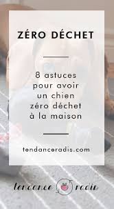8 Astuces Toutes Simples Pour Reduire Les Dechets De Votre Chien A La Maison Zero Dechet Chien Et Famille Zero Dechet