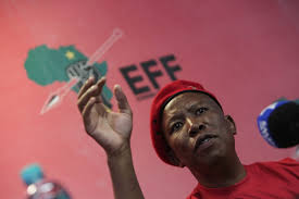 The eff leader's tantrum came the day after south africa was. Any Fool Can Be A President Even Jacob Zuma Says Julius Malema