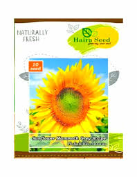 Sebelum itu, mari kita bahas dulu bunga matahari (helianthus annuus l.) merupakan salah satu jenis bunga yang banyak diketahui. Jual Benih Bunga Matahari Jumbo Kualitas Terbaik Tokofora