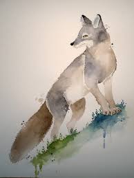 Nina Marie Andersen Arctic Fox All the best arctic fox painting 32+ collected on this page.