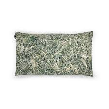 History of the pillow : Hayka Hay Pillow Filled With Buckwheat Hull No Wodka Online Shop