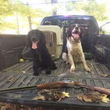 Photos: A Lunch Date with Some Woodcock in Vermont