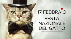 Il 17 febbraio e' il giorno dedicato ai gatti e alle loro buffe e tenere moine. Rhfnlzlblkxeqm