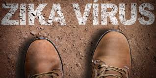 Resultado de imagem para Estudo indica que zika pode provocar infertilidade em homens