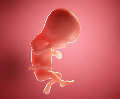 Learn the signs and symptoms of preterm labor and what you can do if you have them. 16 Weeks Pregnant Week By Week Pregnancy Symptoms Baby Development Advice Emma S Diary