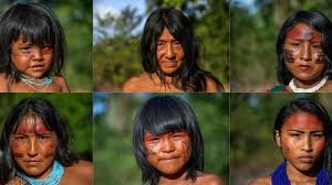 Indigenous definition, originating in and characteristic of a particular region or country; Indigenous People May Be The Amazon S Last Hope Ecowatch