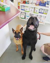 Search for other veterinary clinics & hospitals in billings on the real yellow pages®. Veterinary Services Cleveland Tn Community Animal Hospital