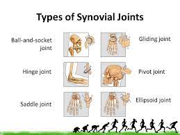 Nursing Tips College Study Nursing School