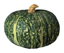 How To Cook A Kabocha Squash In The Oven Livestrong Com Kabocha Squash Winter Squash Recipes Kabocha Squash Recipe