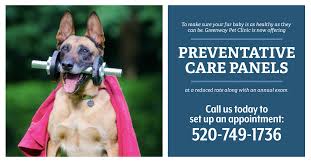 Buena pet clinic pc has been providing tucson and all of arizona with quality veterinary care for your dog or cat since the 1960s. Tucson Animal Hospital Greenway Pet Clinic