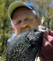Be a better angler, fish with your friends. (Lily pad crappie)