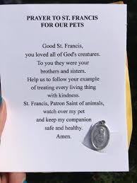 Prepare a place where the body can lie in state for a time, perhaps in the lounge room. Blessing Of Animals St Joseph Church Millstone Twp Nj