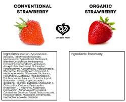 Chart Organic Vs Conventional Strawberries An Ingredient