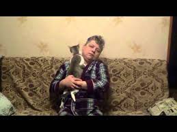 Pentru pisici perioada caldurilor poate fi destul de stresanta si epuizanta, de aceea dumneavoastra ca stapan trebuie sa le recunoasteti si sa fiti alaturi de femela. Cum De A Calma O Pisica In Calduri La Domiciliu