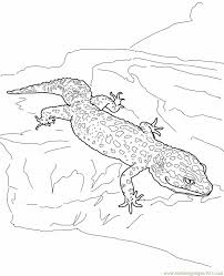 Keep your kids busy doing something fun and creative by printing out free coloring pages. Leopard Gecko Lizard Coloring Page For Kids Free Lizard Printable Coloring Pages Online For Kids Coloringpages101 Com Coloring Pages For Kids