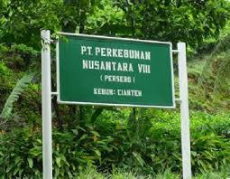 We did not find results for: Kebun Teh Cianten Catatanyan