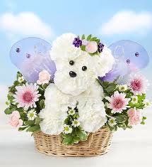 Shop 1800flowers for bonsai tree delivery! Magical Fairy Dog 1800flowers Com