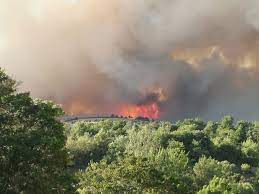 Carcassonne, de hoofdstad van het departement in aude ligt ongeveer 70 km ten noordwesten van perpignan op. Brand Verwoest Honderden Hectares Bos Bij Carcassonne Nos