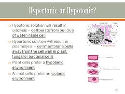 One of the major functions of blood in animals is the maintain an isotonic internal environment. Transportation Of Materials Across The Cell Membrane Ppt Download