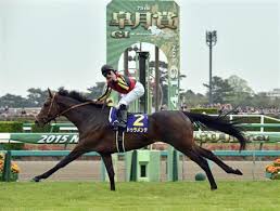 The site owner hides the web page description. çšæœˆè³ž2018ç„¡æ–™äºˆæƒ³ æœ‰åŠ›é¦¬åˆ†æž ã‚³ãƒ¼ã‚¹ç´¹ä»‹ ä¸­å±±2000ï½ ã‚¹ãƒ—ãƒªãƒ³ãƒˆãƒžã‚¹ã‚¿ãƒ¼ Akã®ç«¶é¦¬äºˆæƒ³