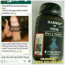 Hammer of thor forex testinomi 2019 asli dan palsu hammer of thor italy official website. Original Hammer Of Thor Men Health Original Hammer Of Thor Men Health