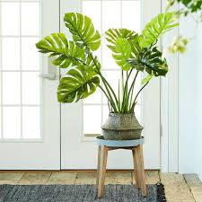 They can work well on a desk or a dining table centrepiece, even if you wish to go for simple faux plants, geometric. How To Pick The Best Fake Plants A Faux Plant Buying Guide 2021 Apartment Therapy