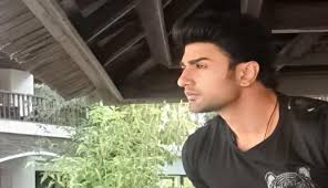 Guddan…Tumse Na Ho Paega: Finally Nishant Singh Malkani fulfils ...