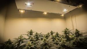 There are also lights available that are comprised of only one single cob. Diy Led Grow Lights With Cree Cxa3070 Cobs And Cpu Coolers Rollitup