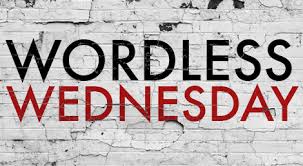 Image result for wordless wednesday meme