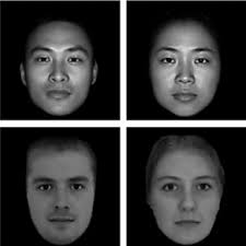 Examples of the male (left panel) and female (right panel) face stimuli... 