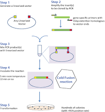 Cold Fusion Fast Cloning System Pcr Based Universal