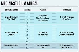 Seit wann leben sie in österreich? Regelstudienzeit Wie Lange Sollte Man Studieren