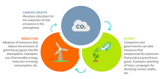 With the emergence of both the voluntary and compliance carbon markets, trees now have a new monetary. Carbon Credit Why Do They Matter To Your Company Viridis