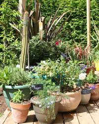 Marche à suivre et savoir faire pour les plantes en pot + jardinage bio des anciens. Un Jardin De Pots Oriente Plein Sud Gamm Vert