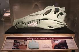 Fossils And Foam Spinosaurus Prints Fossils