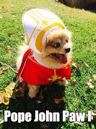 Anno Dogini Funny Animals Cute Animals Funny Animal Pictures