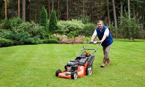 As more homeowners and companies outsource their lawn business software is critical when you consider all these factors. Lawn Care Business Plan The Lawn Solutions