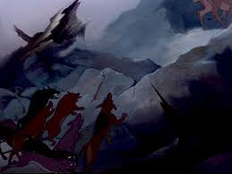 Wildlife Or Nor Woman Neither Wildlife Animals Private Life