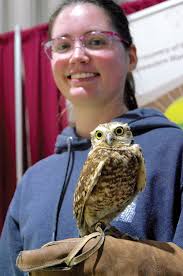 Bringing back the burrowing owl