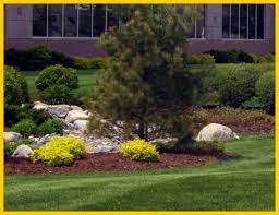Here is your list of the best providers near you. Commercial Landscape Maintenance Near Me Lawn Maintenance Nearby Landscaping Maintenance
