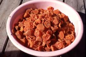 Image result for Apricot 1972 Hussmann