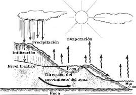 En este video vamos a conocer en que consiste el ciclo del agua. El Ciclo Del Agua Informacion Imagenes Y Cuadros Sinopticos Informacionde Info