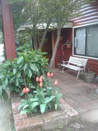 Entrada Hostal Hostal Entradas