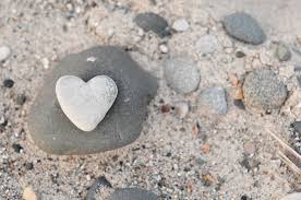 Un homme se fait greffer la tête de son chien mort. Quand L Ame D Un Proche Defunt Nous Envoie Des Signes