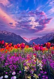 Imagenes Ermosas Beautiful Nature Beautiful Landscapes Nature Photography