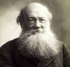 Sitges 2021:'In the Earth', Ben Wheatley contra Darwin y el  antropocentrismo