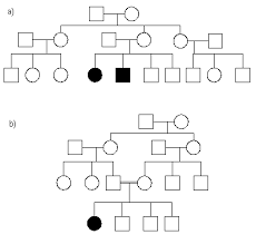 Human Pedigree Analysis 1 Dna Genetics Practices Worksheets Biology